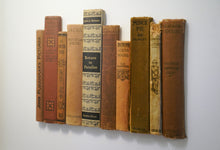 Load image into Gallery viewer, SOLD Floating Library - Brown Vintage
